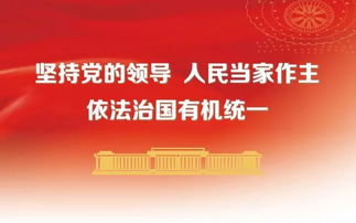 桂城深入推进“户联系”工作 食品检测、健康咨询与反邪教宣传齐头并进